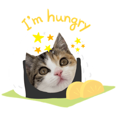 [LINEスタンプ] ちなこさん