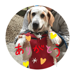 [LINEスタンプ] みっちゃんさくら