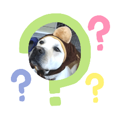[LINEスタンプ] 愛犬きなこ。2