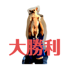 [LINEスタンプ] ブチコロスタンプ