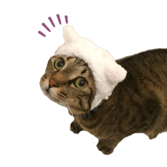 [LINEスタンプ] 関西弁Nicoさん②