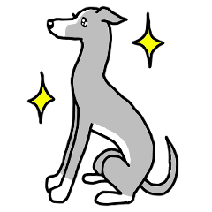 [LINEスタンプ] 犬種別イタリアングレーハウンド（グレー）