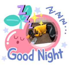 [LINEスタンプ] ふみふみふーたん