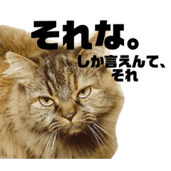 [LINEスタンプ] TONOスタンプ