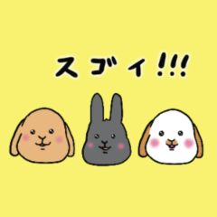 [LINEスタンプ] 癒しのホーランドロップ