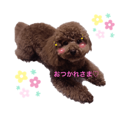 [LINEスタンプ] まったんスタンプ