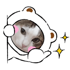 [LINEスタンプ] marishimachan