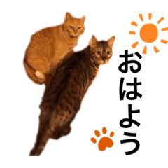 [LINEスタンプ] しゅうくんレオンくん
