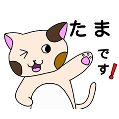 [LINEスタンプ] タマはねこ