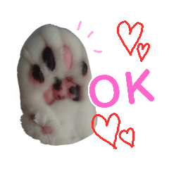 [LINEスタンプ] 肉球＊猫の手スタンプ