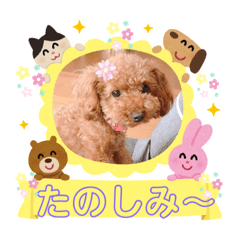 [LINEスタンプ] 愛月と空パート5
