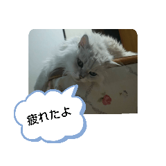 [LINEスタンプ] チンチラシルバーの空2
