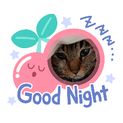 [LINEスタンプ] 保護猫タラちゃん