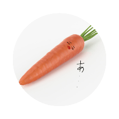 [LINEスタンプ] 馬鹿な人参……
