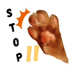 [LINEスタンプ] 茶トラ兄妹のぶみーの仲良しLINEスタンプ