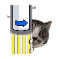 [LINEスタンプ] ぼく白玉