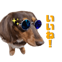 [LINEスタンプ] 愛犬とあちゃん♫②