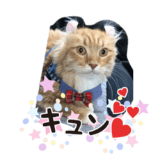 [LINEスタンプ] Ryoryo's pet's part3