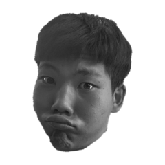 [LINEスタンプ] きょーちゃんの日常