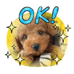 [LINEスタンプ] れお参上