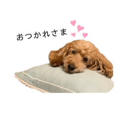 [LINEスタンプ] メルくんの日常②