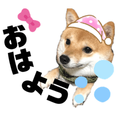 [LINEスタンプ] 日常のだー