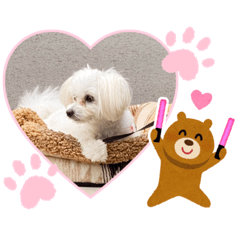 [LINEスタンプ] 我が家のしずくちゃんスタンプ2