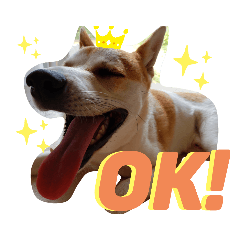 [LINEスタンプ] 保護犬一護