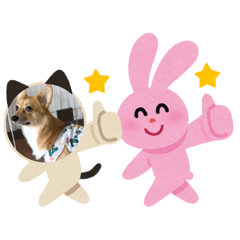 [LINEスタンプ] ありすワン
