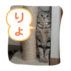 [LINEスタンプ] pino watanabe