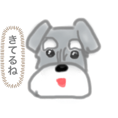 [LINEスタンプ] シュナ中心