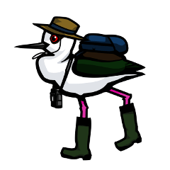 [LINEスタンプ] 日常使い日本の野鳥