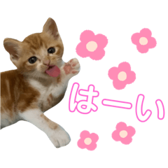 [LINEスタンプ] ちくわ大臣2