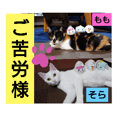 [LINEスタンプ] そらもも団5