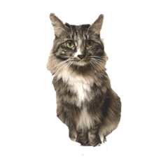 [LINEスタンプ] もふとポージー