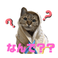 [LINEスタンプ] しらす日記①