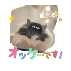 [LINEスタンプ] ノブ 1207