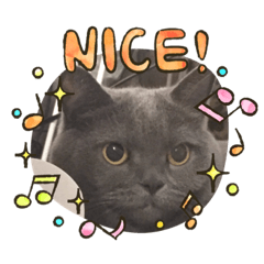 [LINEスタンプ] シャンティ＆モモ＆ラッキー