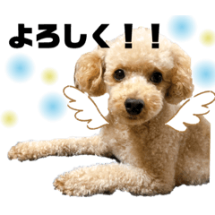 [LINEスタンプ] ころもの日常②