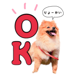[LINEスタンプ] ポメラニアンあんずの日常