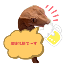 [LINEスタンプ] クレステッドゲッコーズ3
