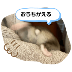 [LINEスタンプ] ちゃんはむはむ