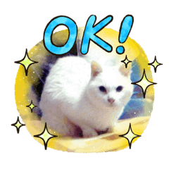 [LINEスタンプ] ランちゃんシリーズ