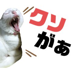 [LINEスタンプ] ネコ団欒2（暗黒編）