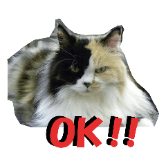 [LINEスタンプ] ひめかめがび2