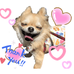 [LINEスタンプ] ロイシェリ①