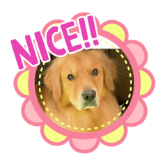 [LINEスタンプ] 愉快な怜央11
