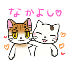 [LINEスタンプ] 猫のみんみんとしろ 日常スタンプ