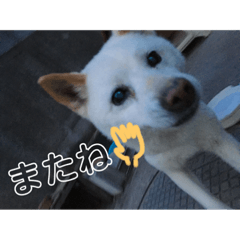 [LINEスタンプ] じゃースタ2