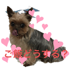 [LINEスタンプ] ロンちゃん♡